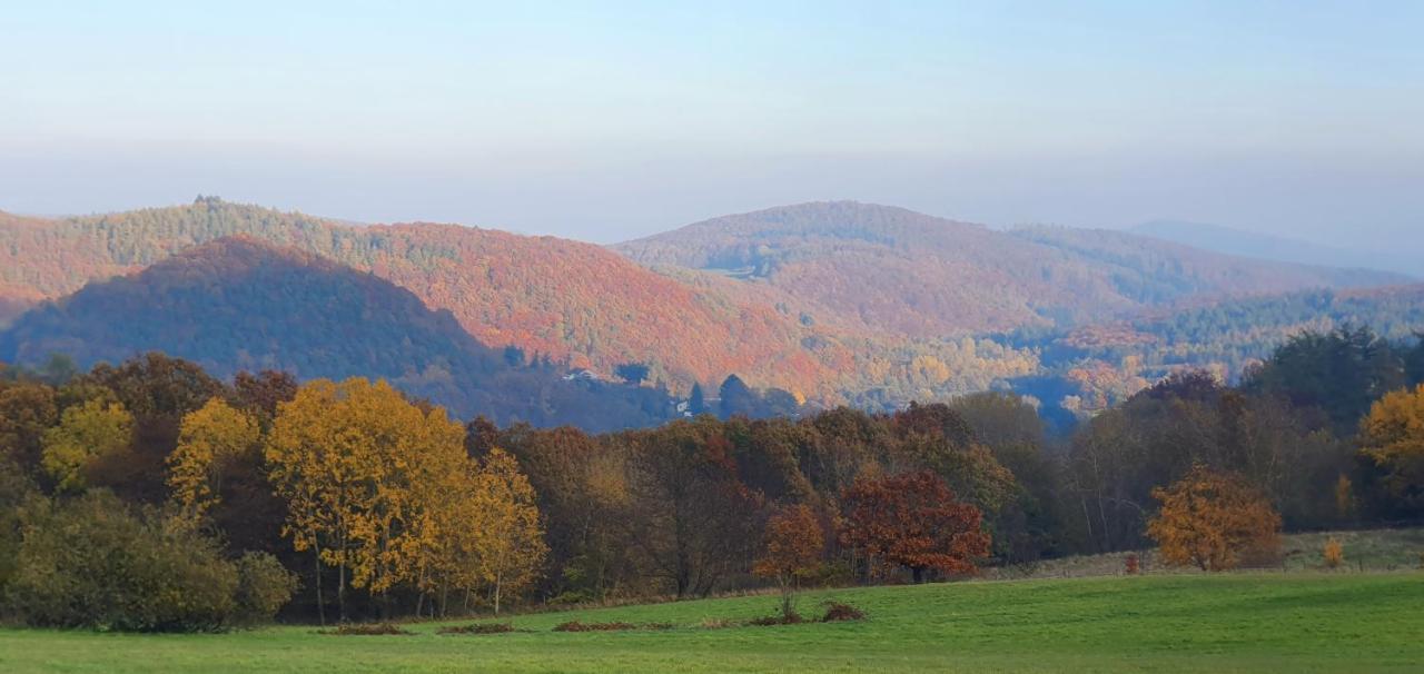 Ferienwohnung Zum Maerchenwald Bergfreiheit Eksteriør bilde