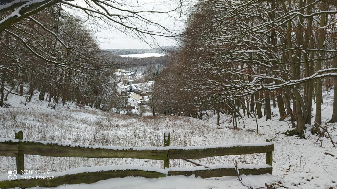 Ferienwohnung Zum Maerchenwald Bergfreiheit Eksteriør bilde