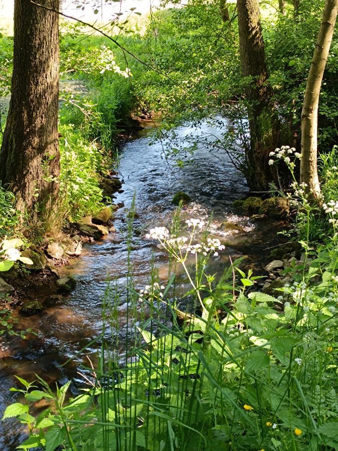 Ferienwohnung Zum Maerchenwald Bergfreiheit Eksteriør bilde