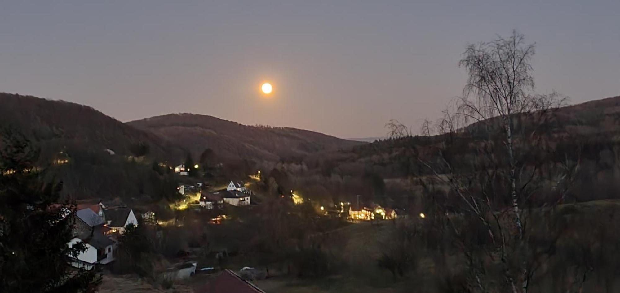 Ferienwohnung Zum Maerchenwald Bergfreiheit Eksteriør bilde