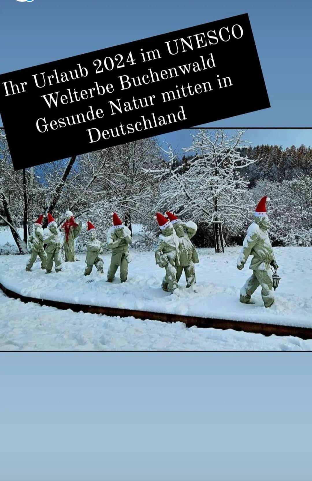 Ferienwohnung Zum Maerchenwald Bergfreiheit Eksteriør bilde