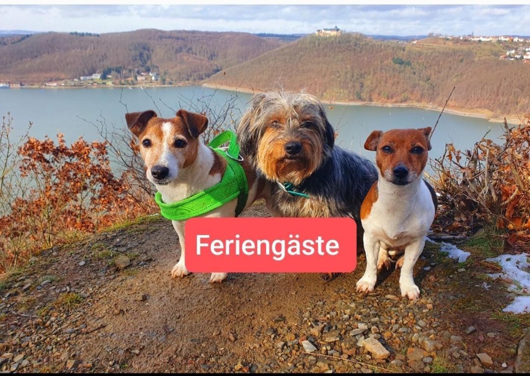 Ferienwohnung Zum Maerchenwald Bergfreiheit Eksteriør bilde