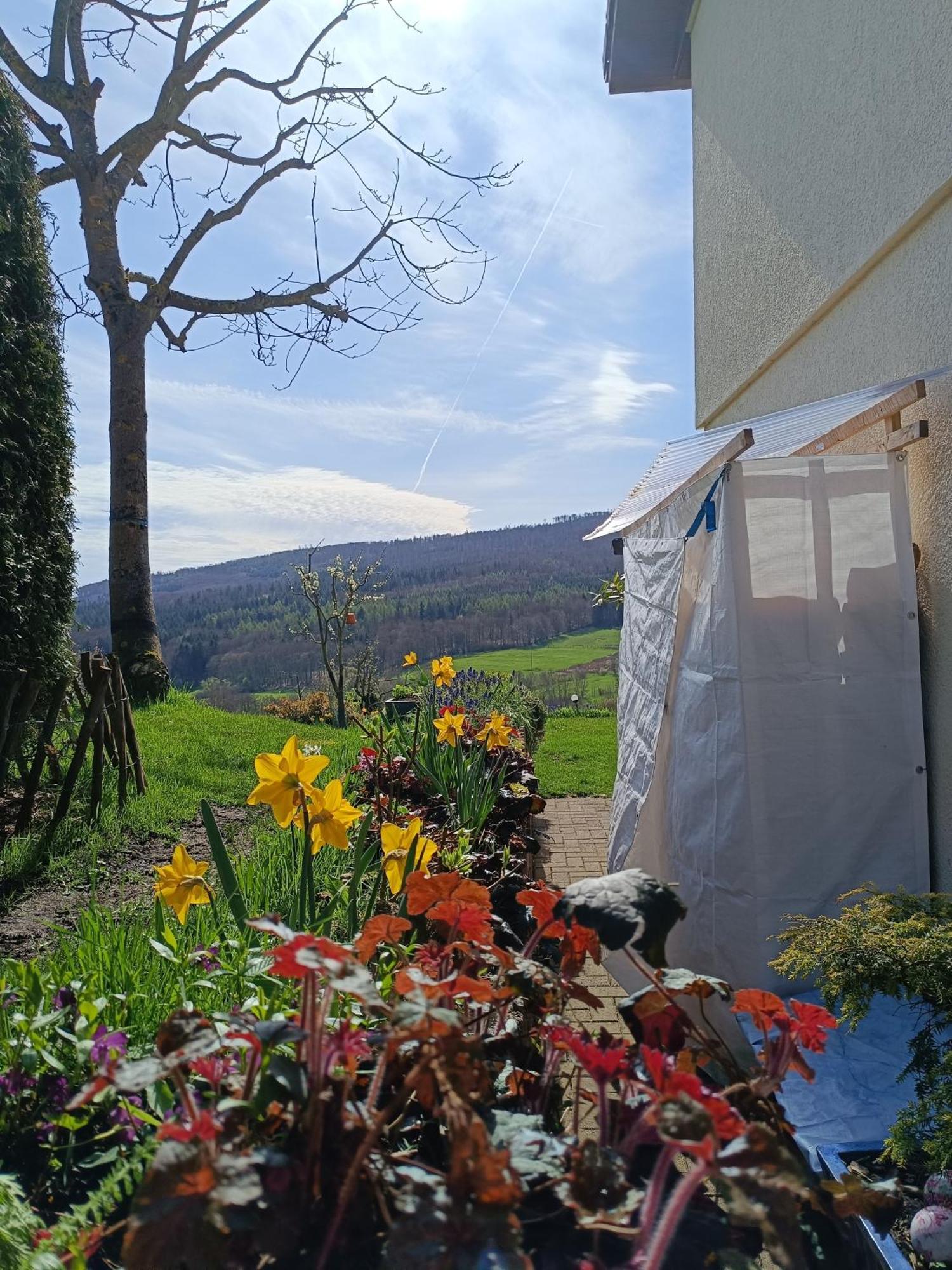 Ferienwohnung Zum Maerchenwald Bergfreiheit Eksteriør bilde