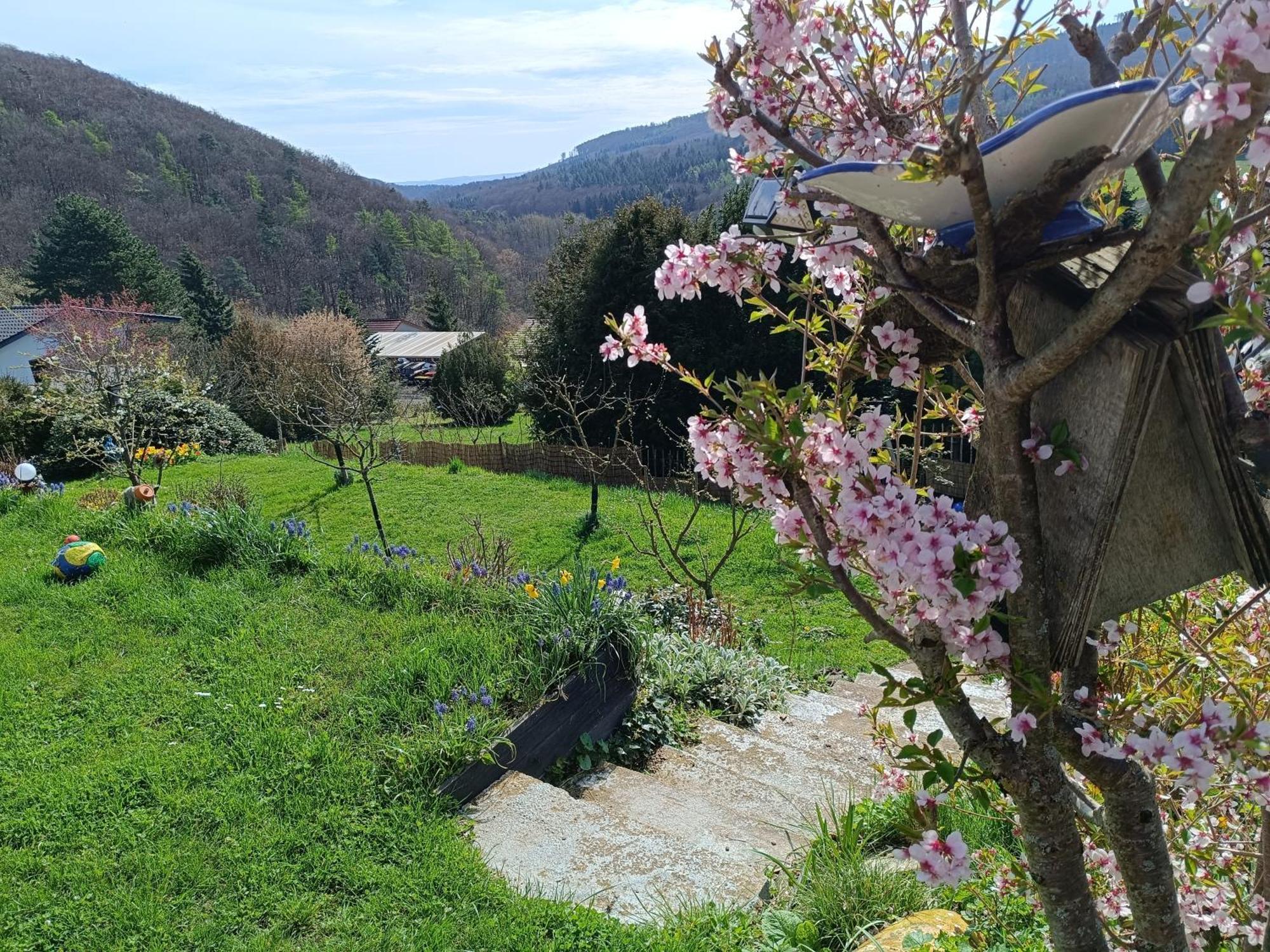 Ferienwohnung Zum Maerchenwald Bergfreiheit Eksteriør bilde